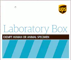 UPS Large Clinical Boxes - 20 ct.